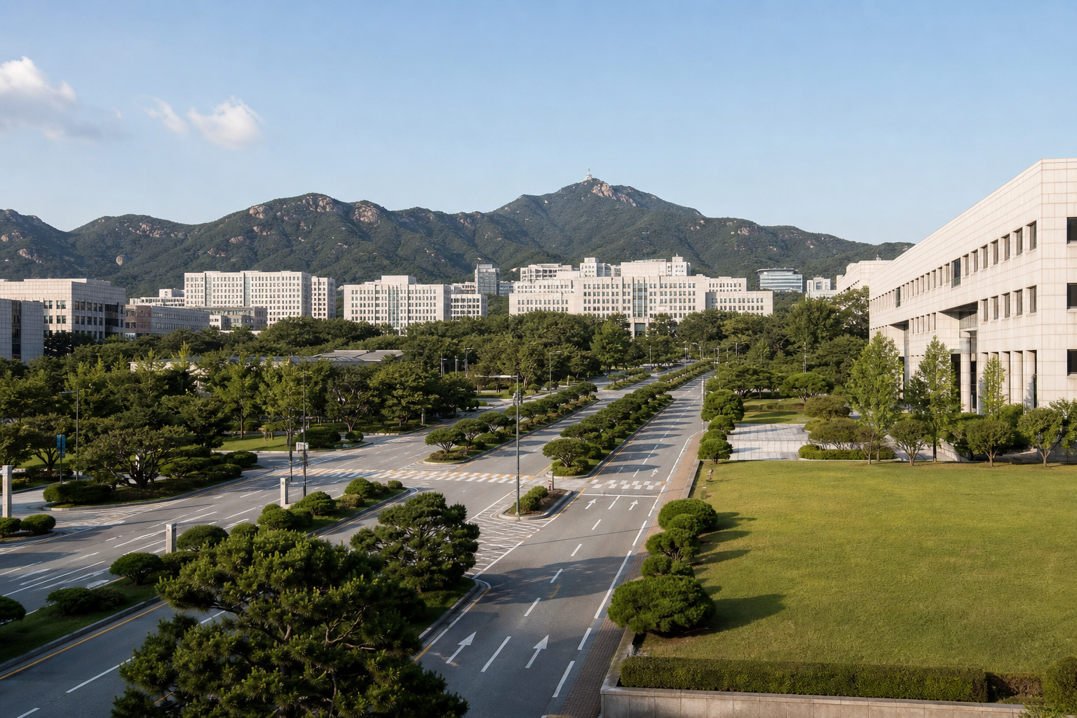 과천 행정 가로 전경